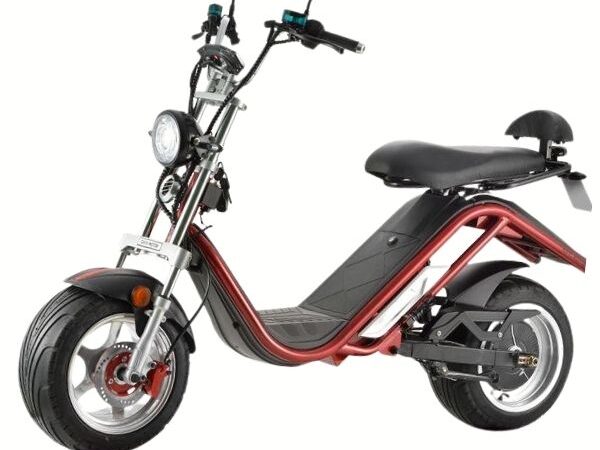 Xplorer GT Pro