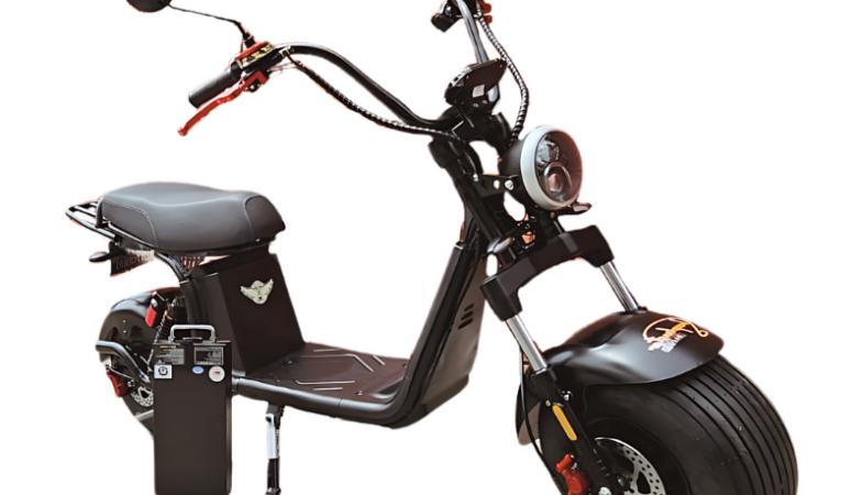 Moto eléctrica Modelo Urban